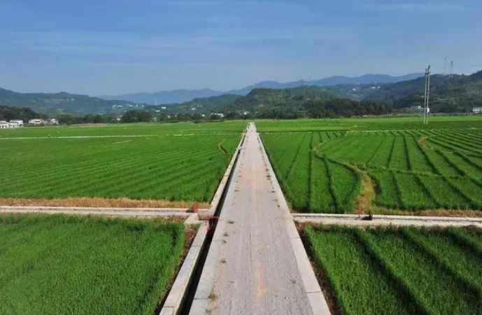 2022新農村征地補償標準是怎樣的