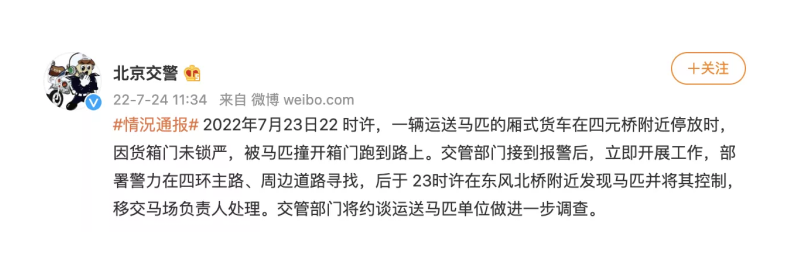 北京東四環(huán)出現(xiàn)馬匹？交警回應(yīng)來(lái)了