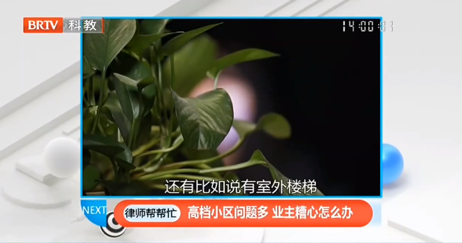 多名業主購買的豪華別墅收房時“問題百出”該怎么辦？